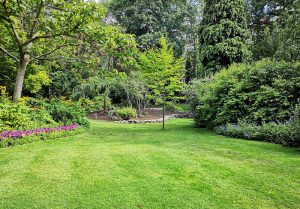 Optimiser l'expérience du jardin à Enchenberg